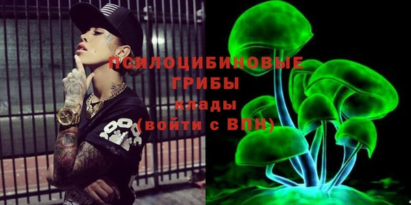 молекула духа Володарск