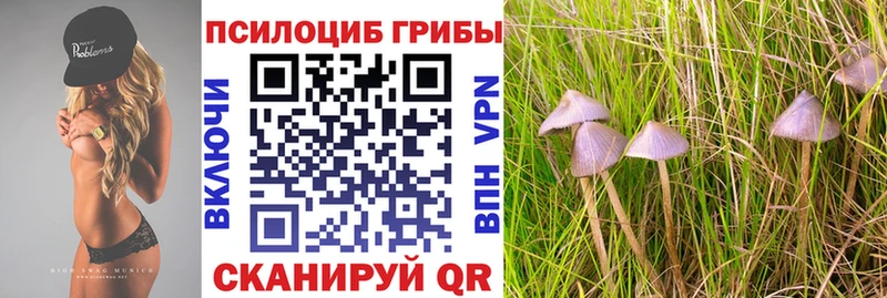 Галлюциногенные грибы ЛСД  Купить закладки  Нижний Новгород 